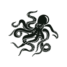 seaofshoes.com favicon